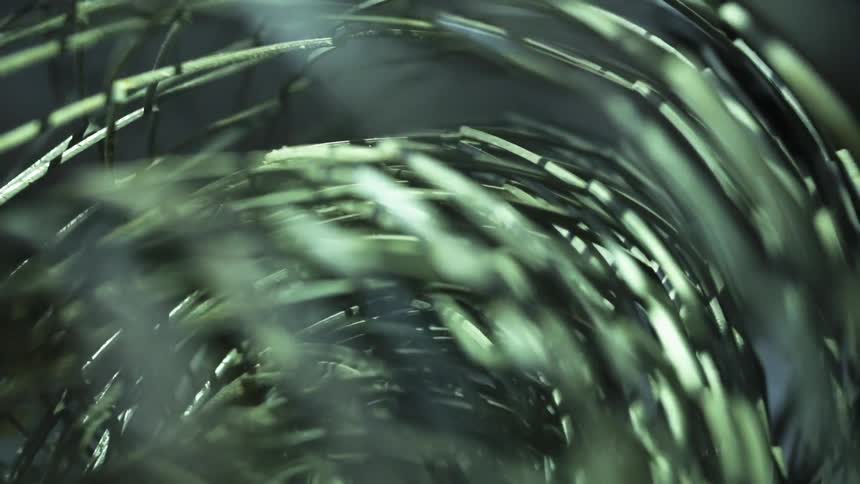 Sunlight shines and shimmers on a woven roll