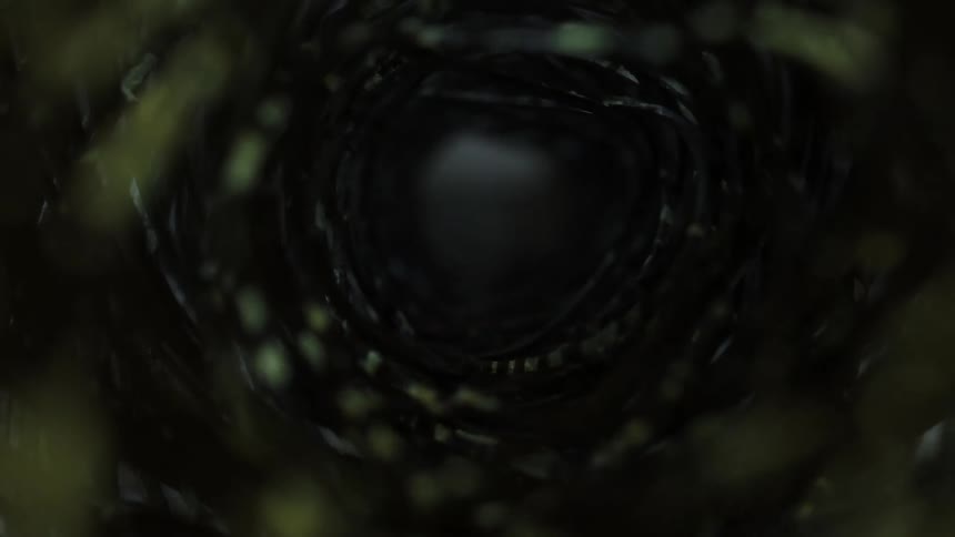 Close up of coiled up wire