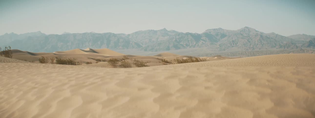 Large sand dunes in a desert with a sprinkling of trees