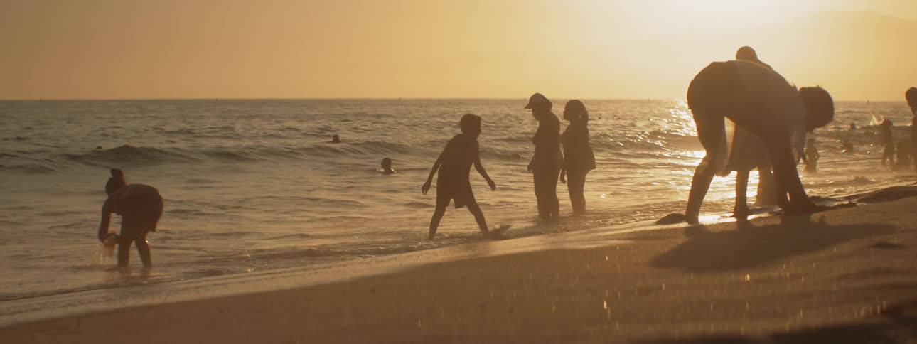 People playing on the beach and in the water