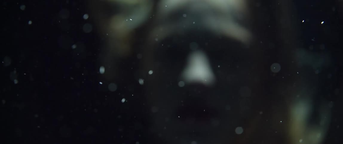Blonde woman floats in dark underwater strewn with bubbles smiling