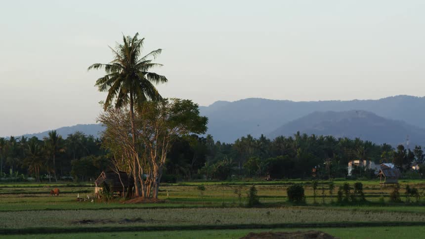 A pasture in a rural area with hills in the background