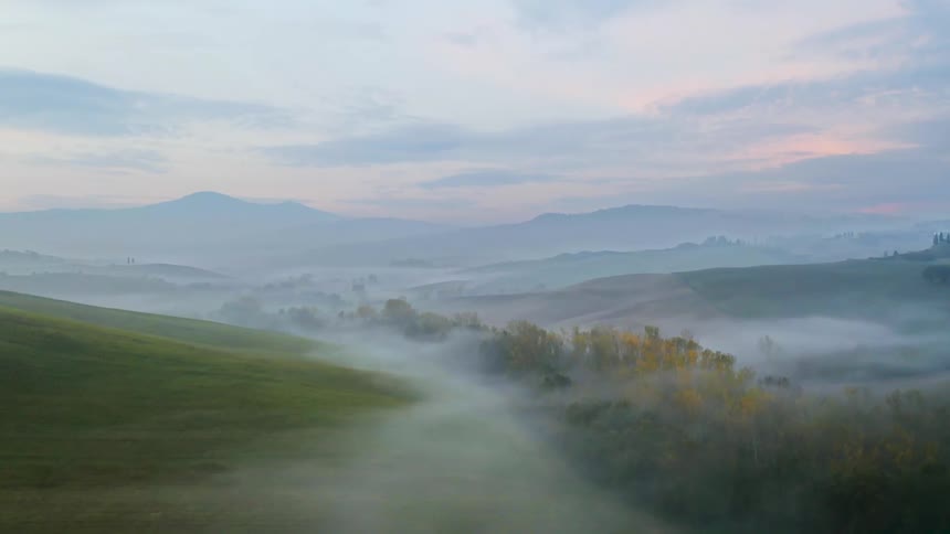 Landscape view of mist over a field of grass