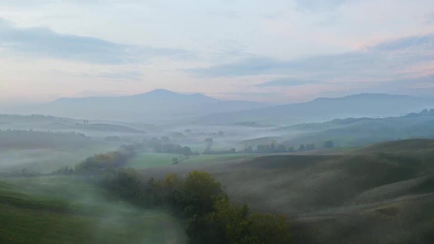 Trees stretch through fields and farmland in a rural area