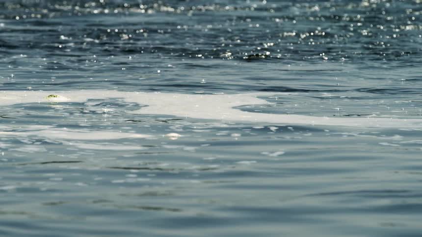 Ripples in a body of water