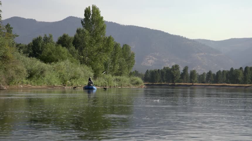 A group of people paddling a boat on a lake as a fish jumps out of the water