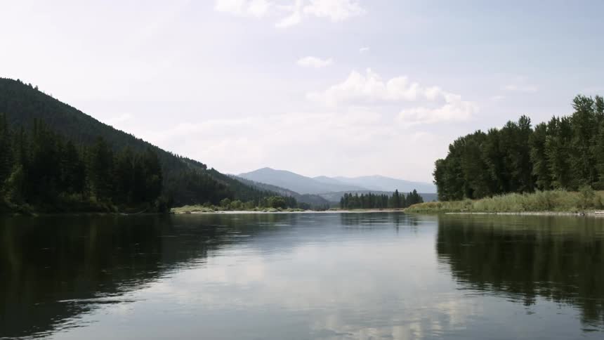 Landscape view of a lake next to a forest