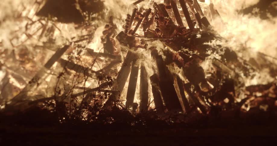 Large bonfires burns casting nearby vegetation into silhouette