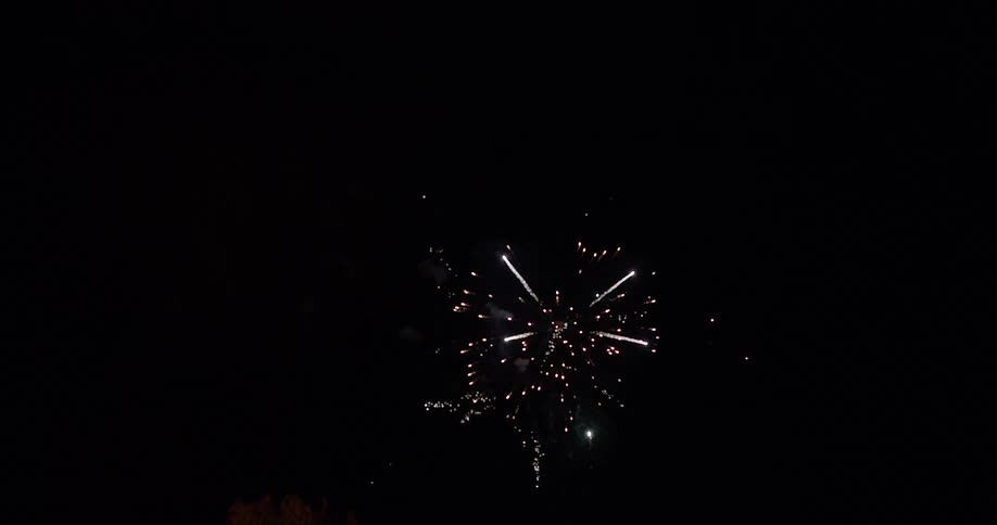 Fireworks bursting and sparkling in the night sky