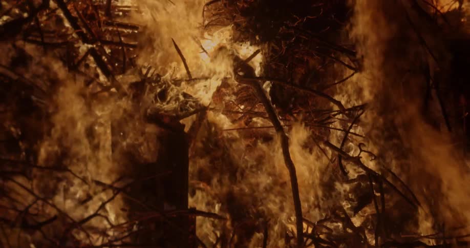 Flames engulf the forest in a forest fire as black smoke rises