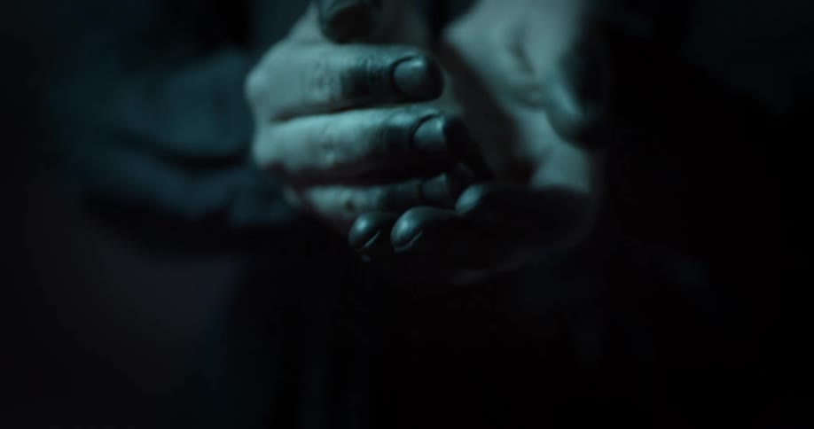 person holds a bird skull in their hands
