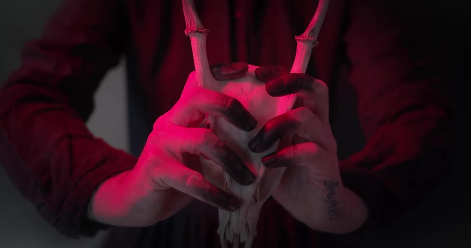 Hands with painted finger tips hold on to a skull