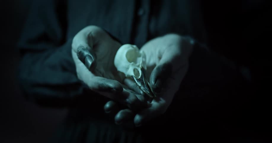 A person with black paint on the ends of their fingers holds a bird skull in a dark place