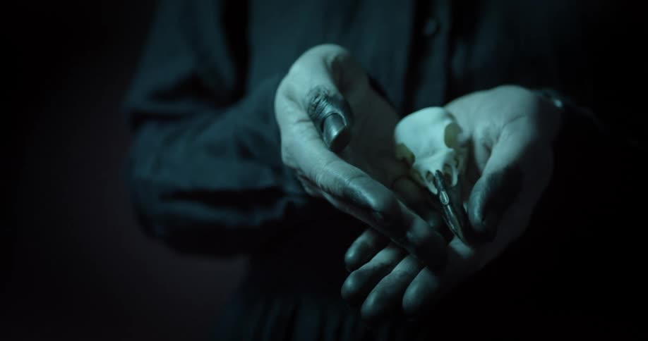 Closed palms opening up revealing holding a small bird skull