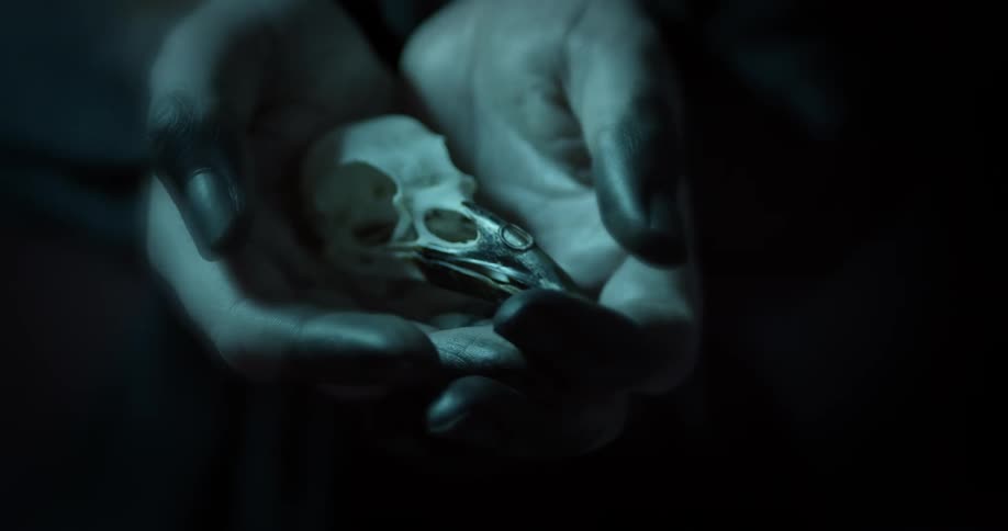 A woman holds something in her hands