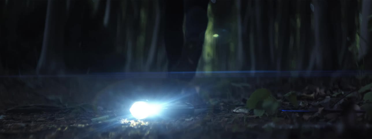 A person runs away from a flashlight in the forest