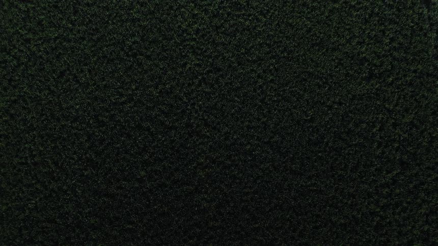 Birds eye view of a forest