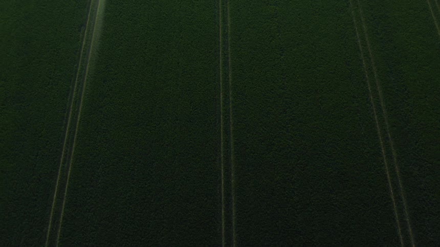 Roads run between fields filled with green crops