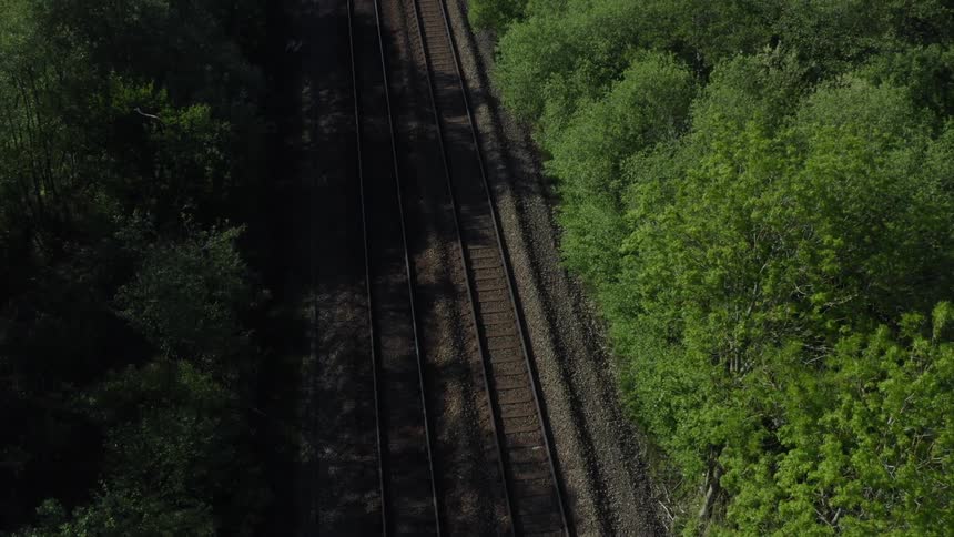 Train tracks next to a forest
