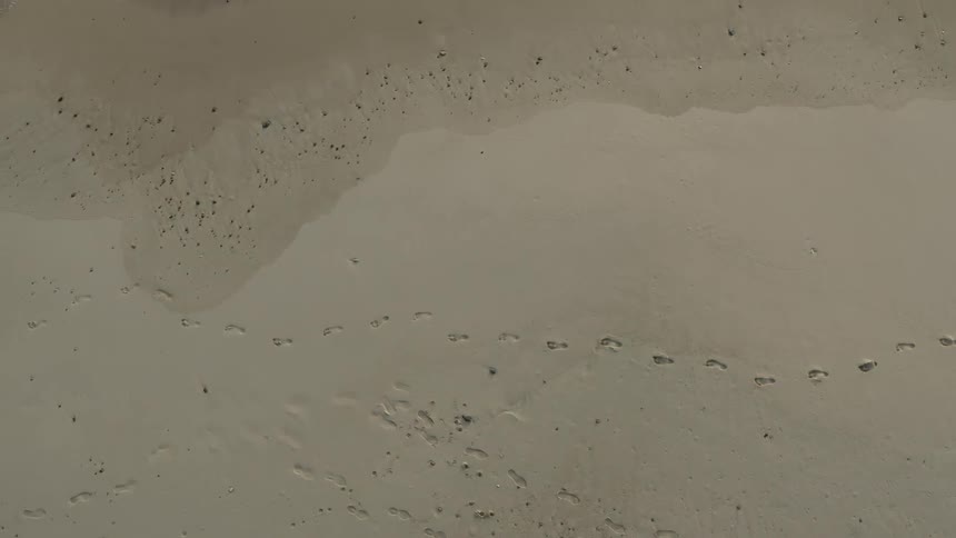 Aerial view of footprints in the sand of a beach near the shoreline