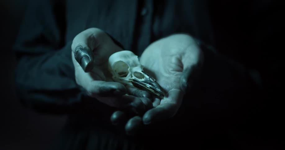 A young woman holds a small skull in her hands
