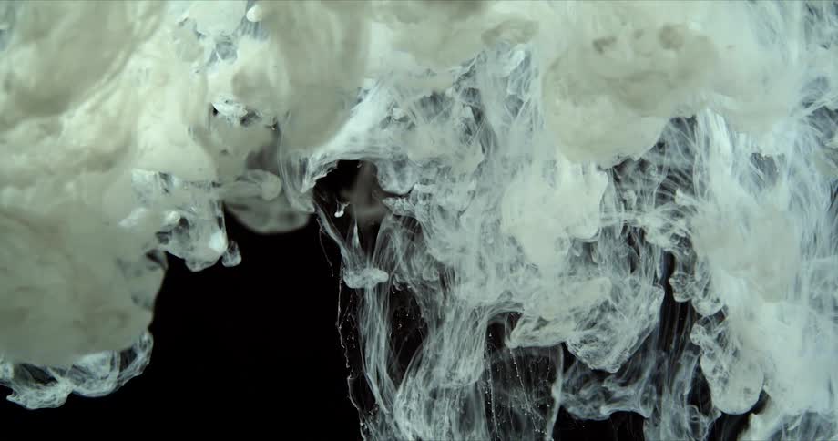 Dozens of jellyfish billow out as they are dropped into a vat of water