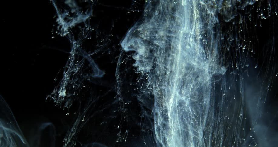 White dust particles sinking on water