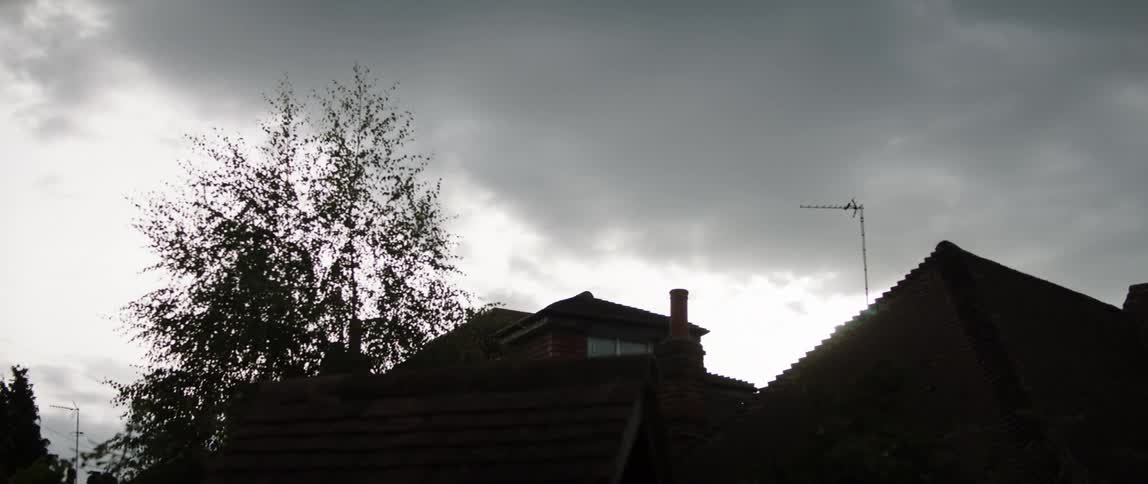 A house in a neighborhood on a cloudy day