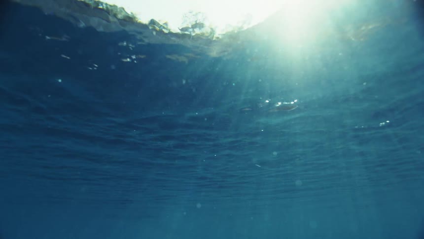 Sunlight penetrates the surface of a body of water