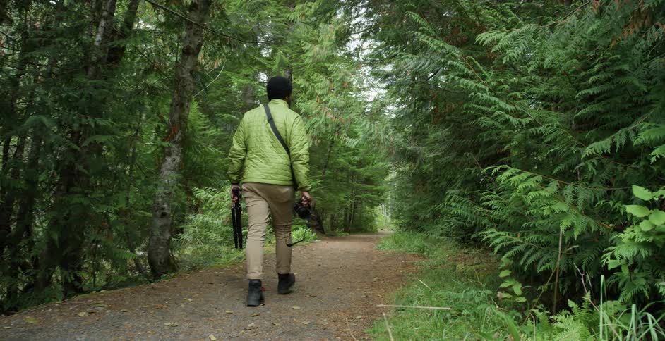 A photographer walks down a path through a woodland carrying a camera and tripod
