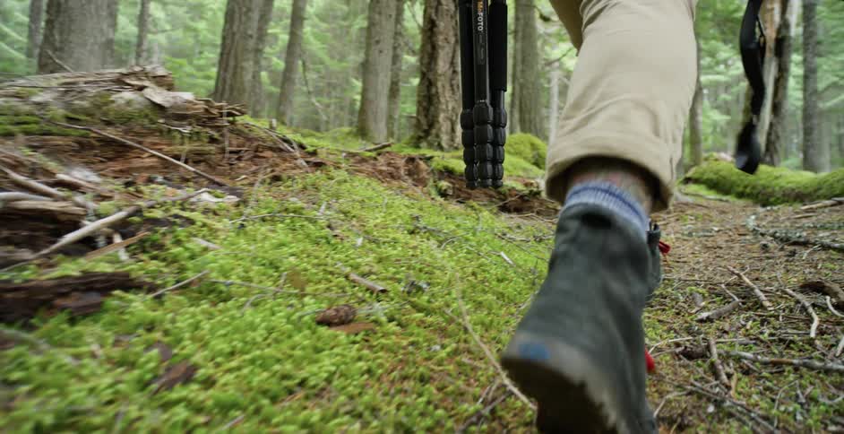 Photographer walks through the woods carrying photographic equipment