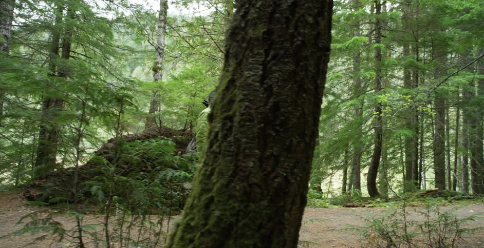 A photographer carrying a camera and tripod along a path through a woodland
