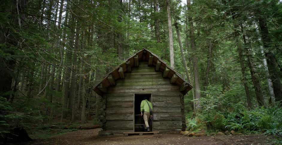A person entering into a cabin in the middle of the woods surrounded by trees