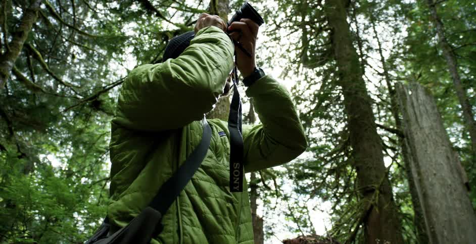 A man takes pictures in a forest