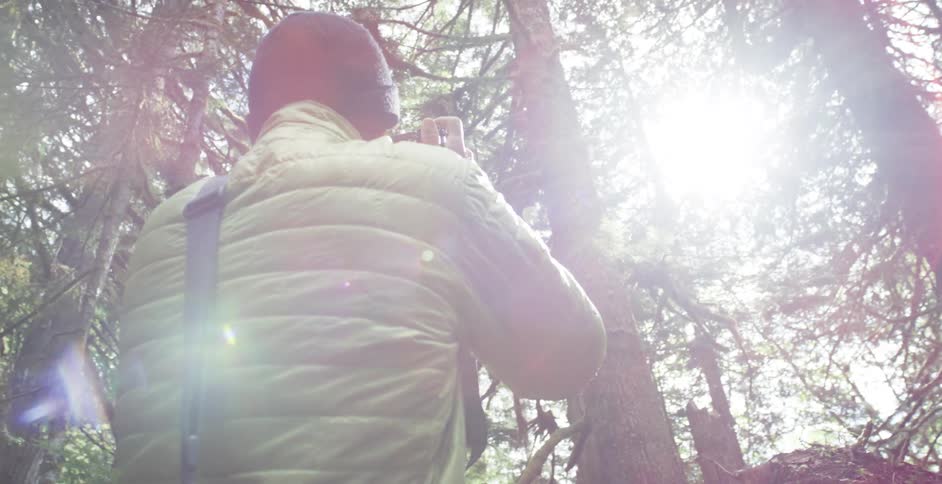 A man holding up a camera photographing trees in the woods as the sun shines and glares