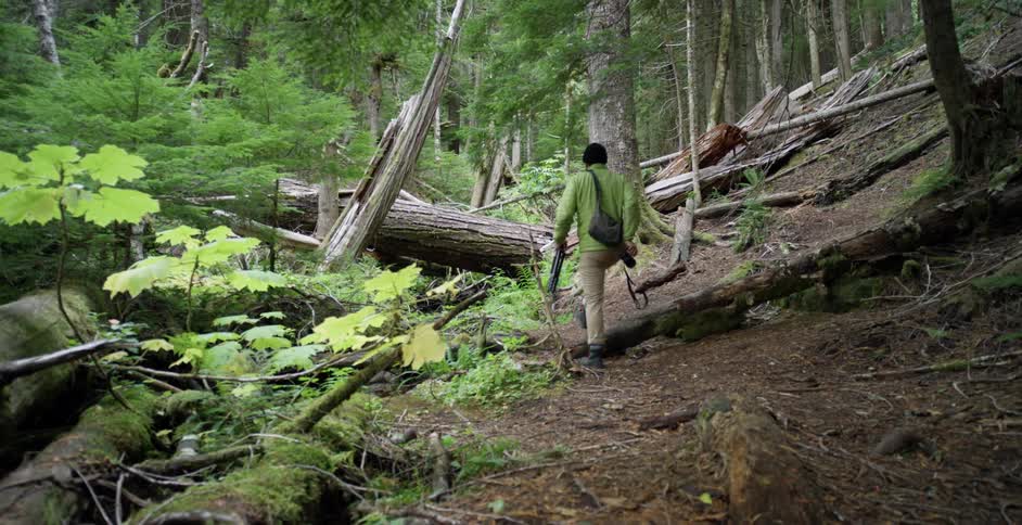 A man walks past the fallen trees with his camera