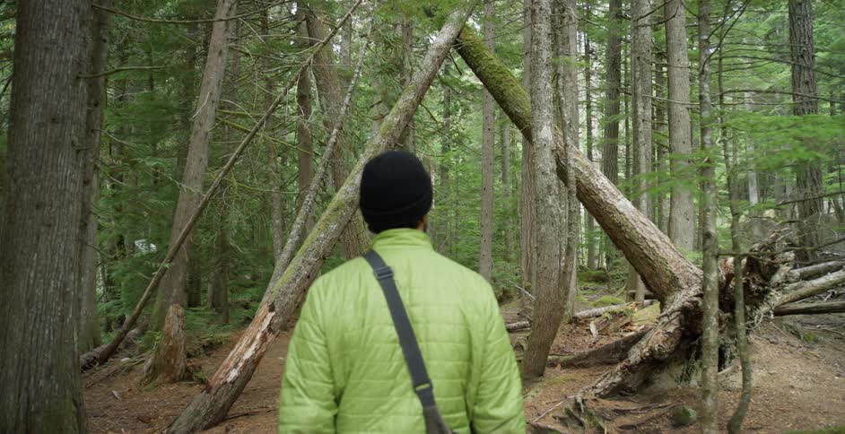 A white man with a hat and coat walks through a forest