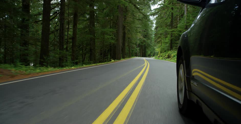 A car drives down a street next to a forest