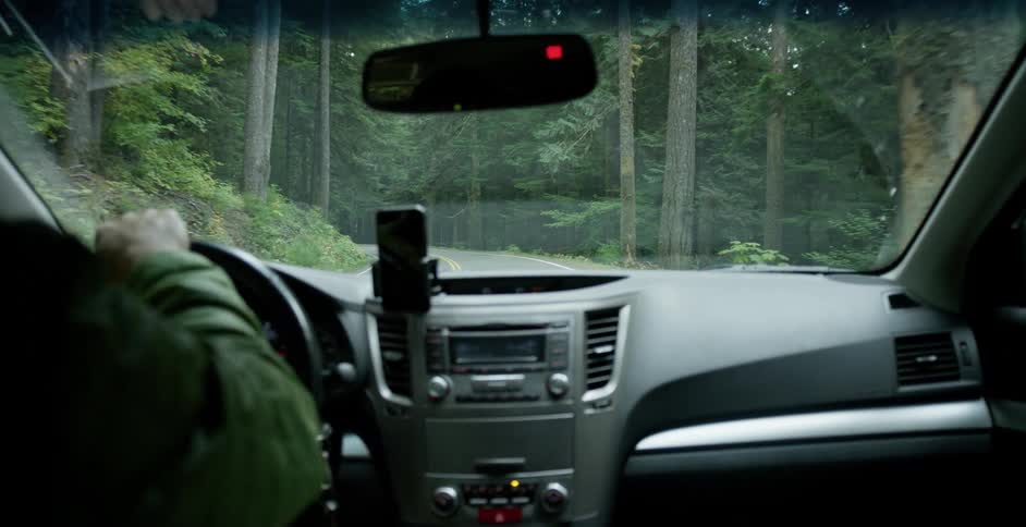 Point of view shot driving on a road through the woods
