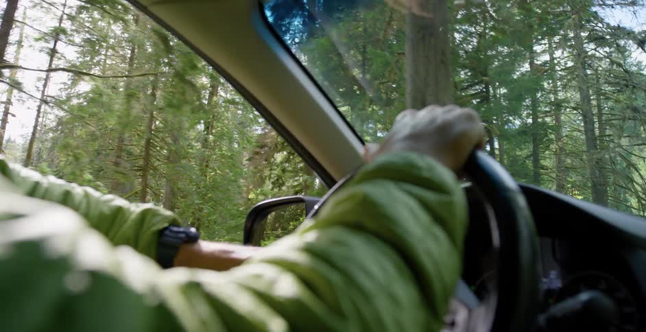 A person in a green jacket drives a vehicle through a woodland