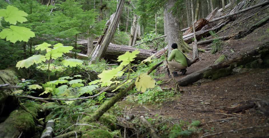 Photographer sets up photographic equipment on a forest