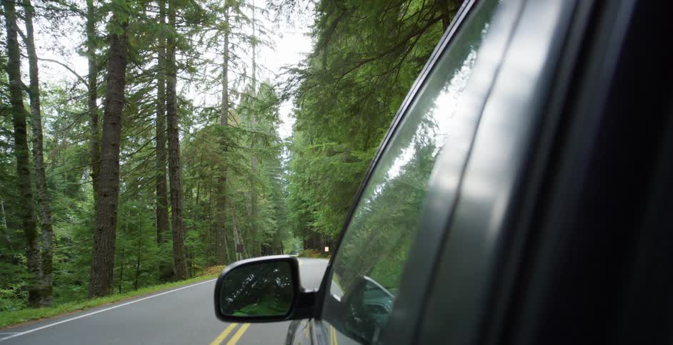 A car driving down a street next to a forest
