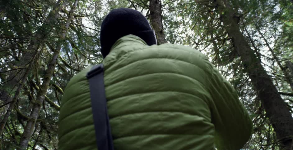 A man is photographing the tops of the trees