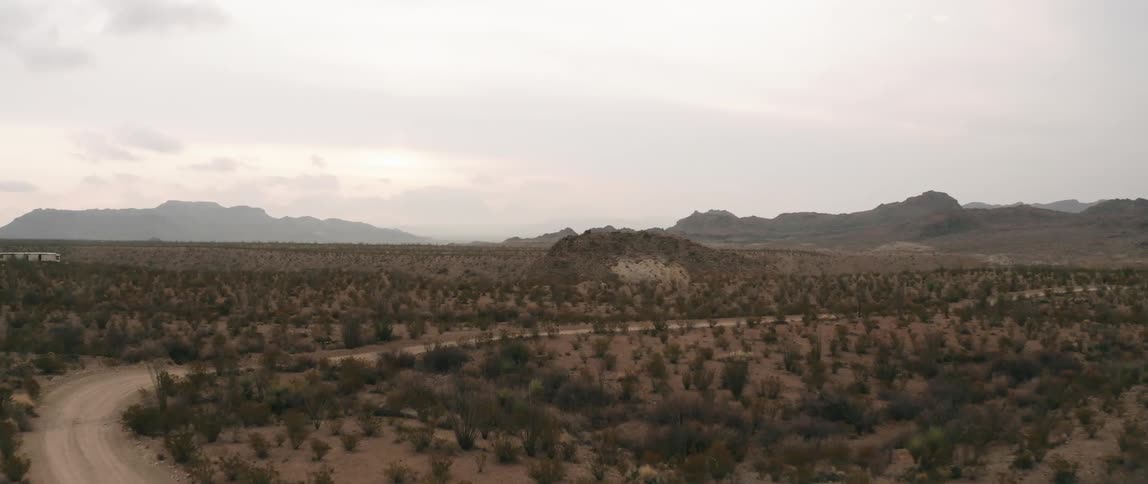 Landscape of bushes on a flat field