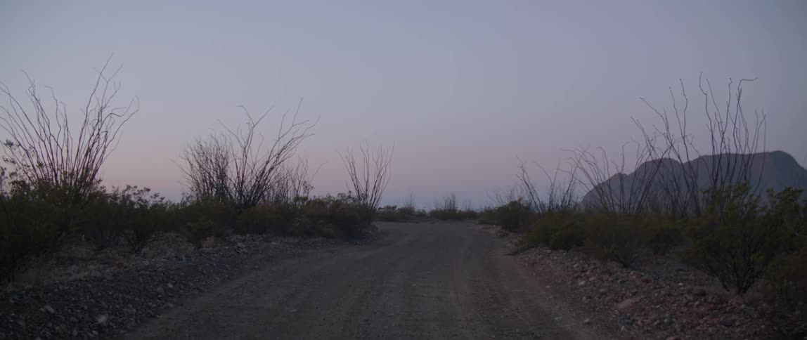 A dirt road flanked by bushes runs through a remote area