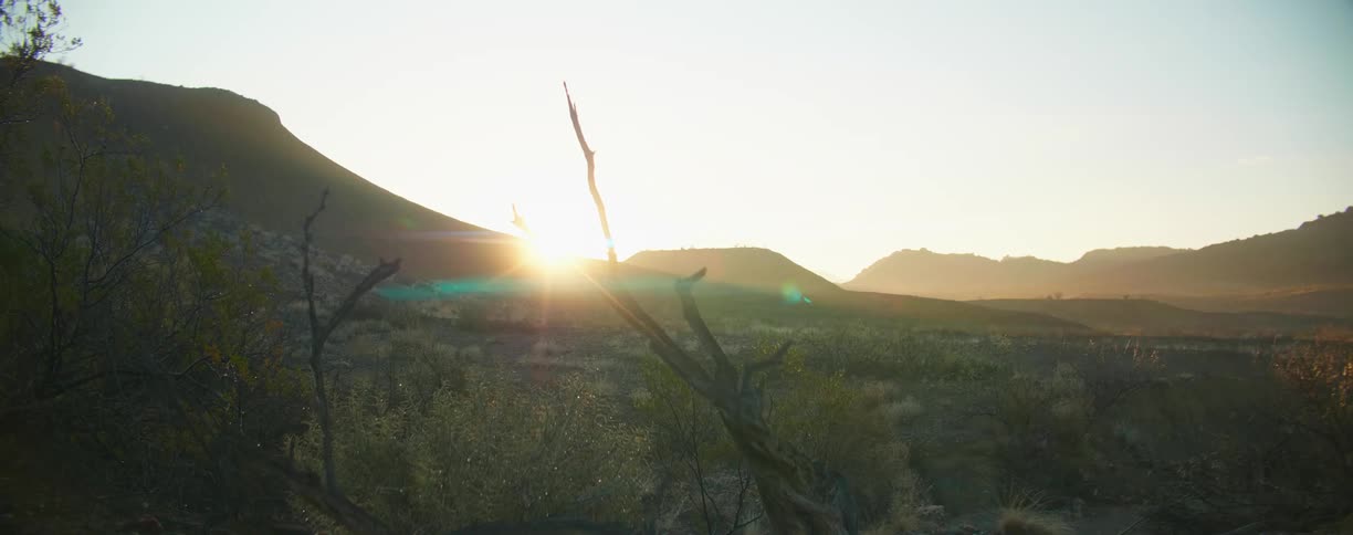 The sun is rising in the horizon