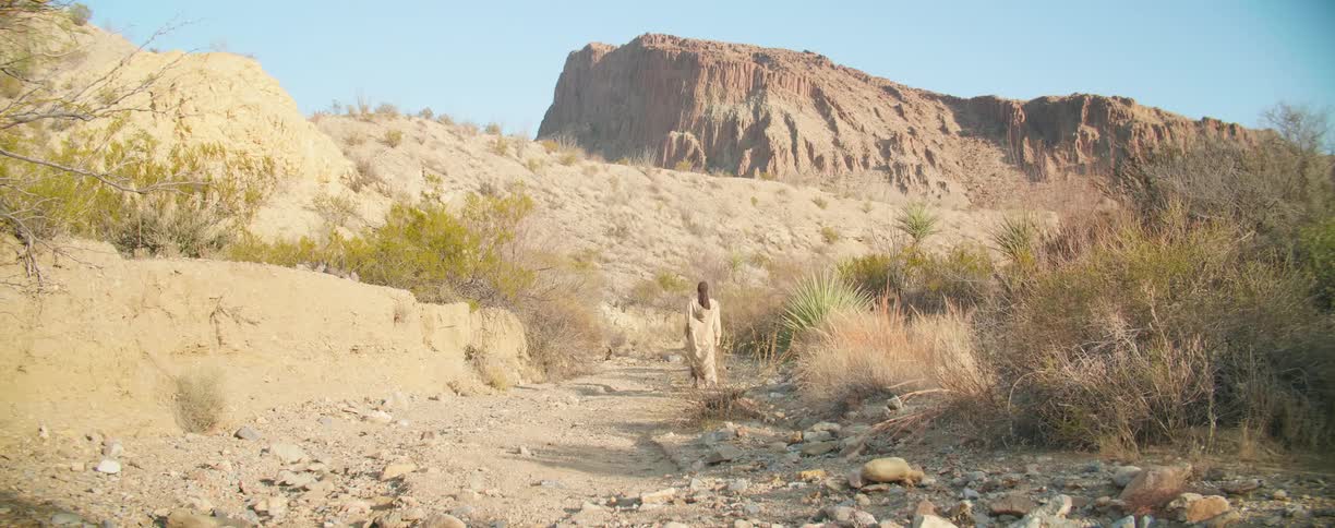 A person walking through the desert along a rocky dirt path