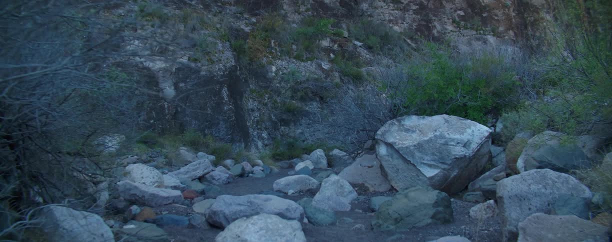 Large boulders partially block a dirt path in a desert