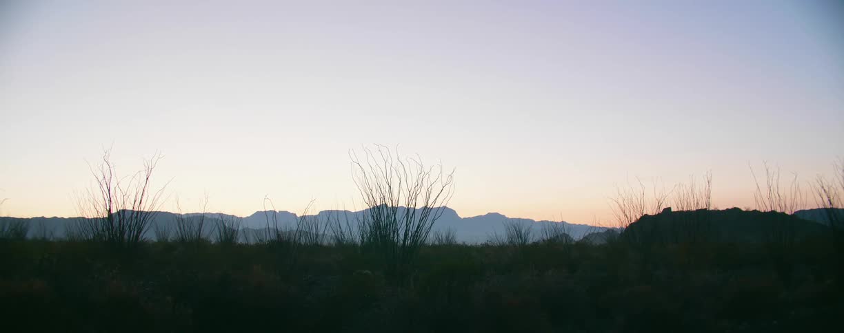 Field with bushes sits with the mountains in the distance