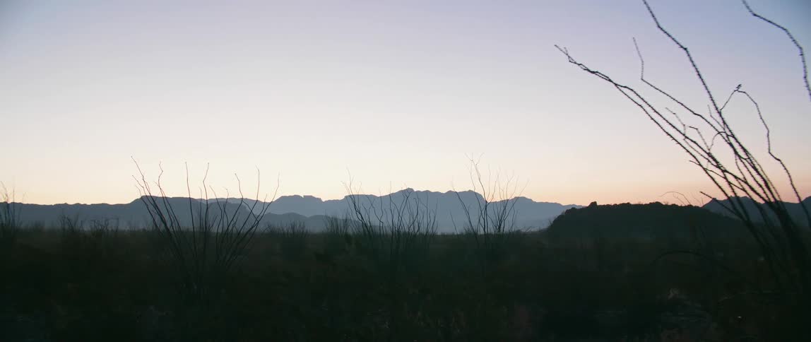 Barren bushes and trees fill the vast ground near a canyon